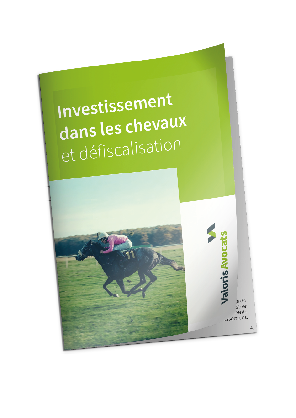 Livre blanc investissement chevaux